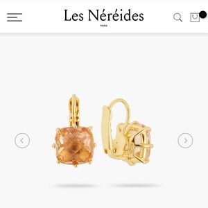 Gold and Orange Earrings